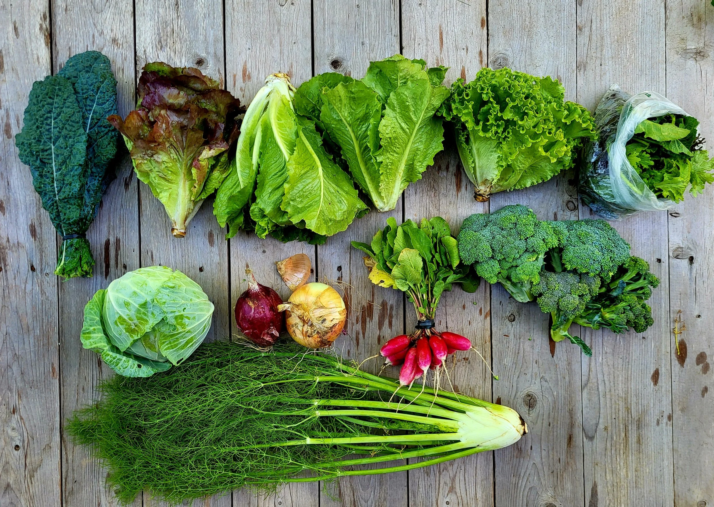 CSA Share Notes May 21, 2026