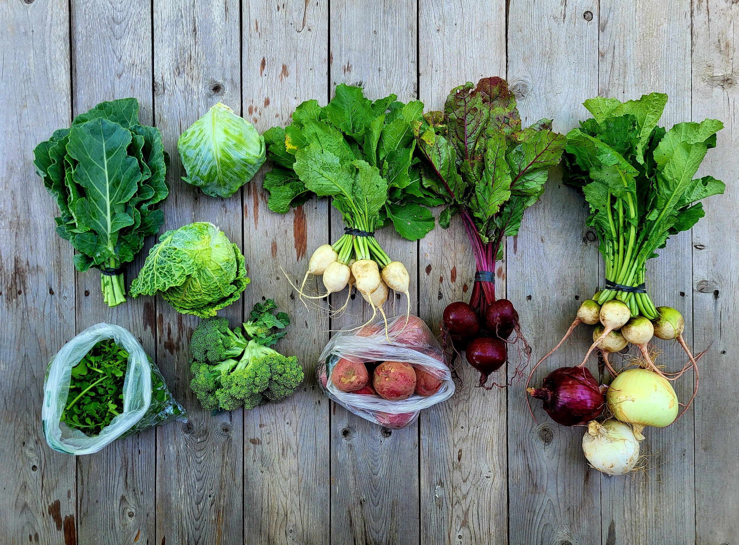 CSA Share Notes May 28, 2026