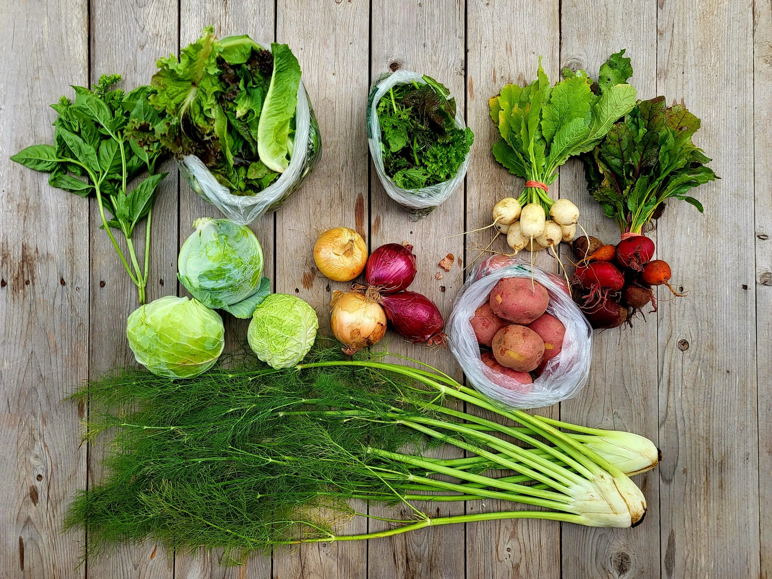 CSA Share Notes June 4, 2026