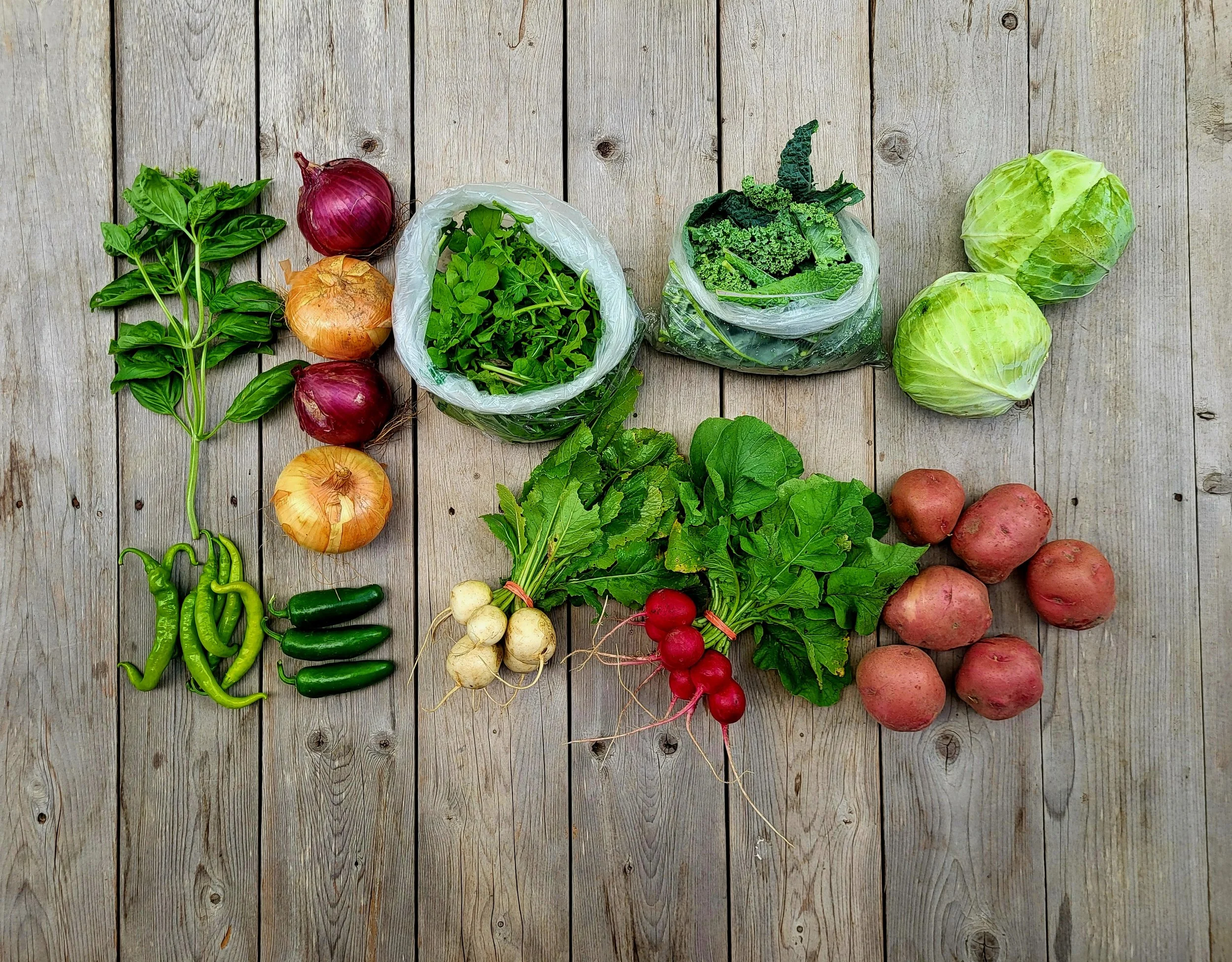 CSA Share Notes June 11, 2026 