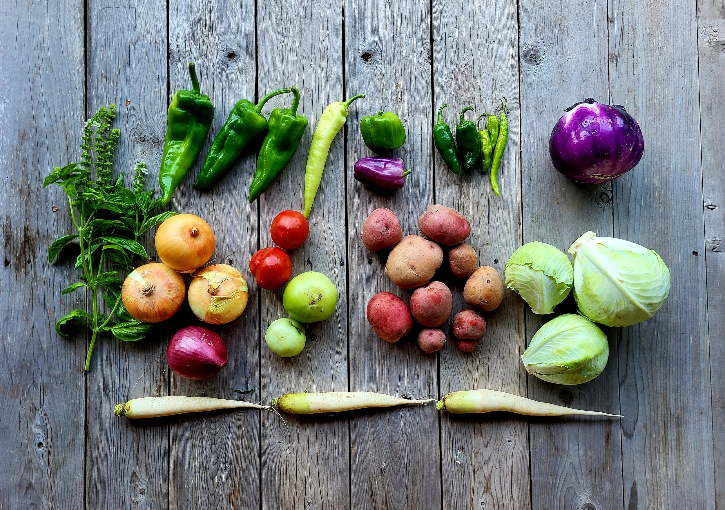 CSA Share Notes June 18, 2026 