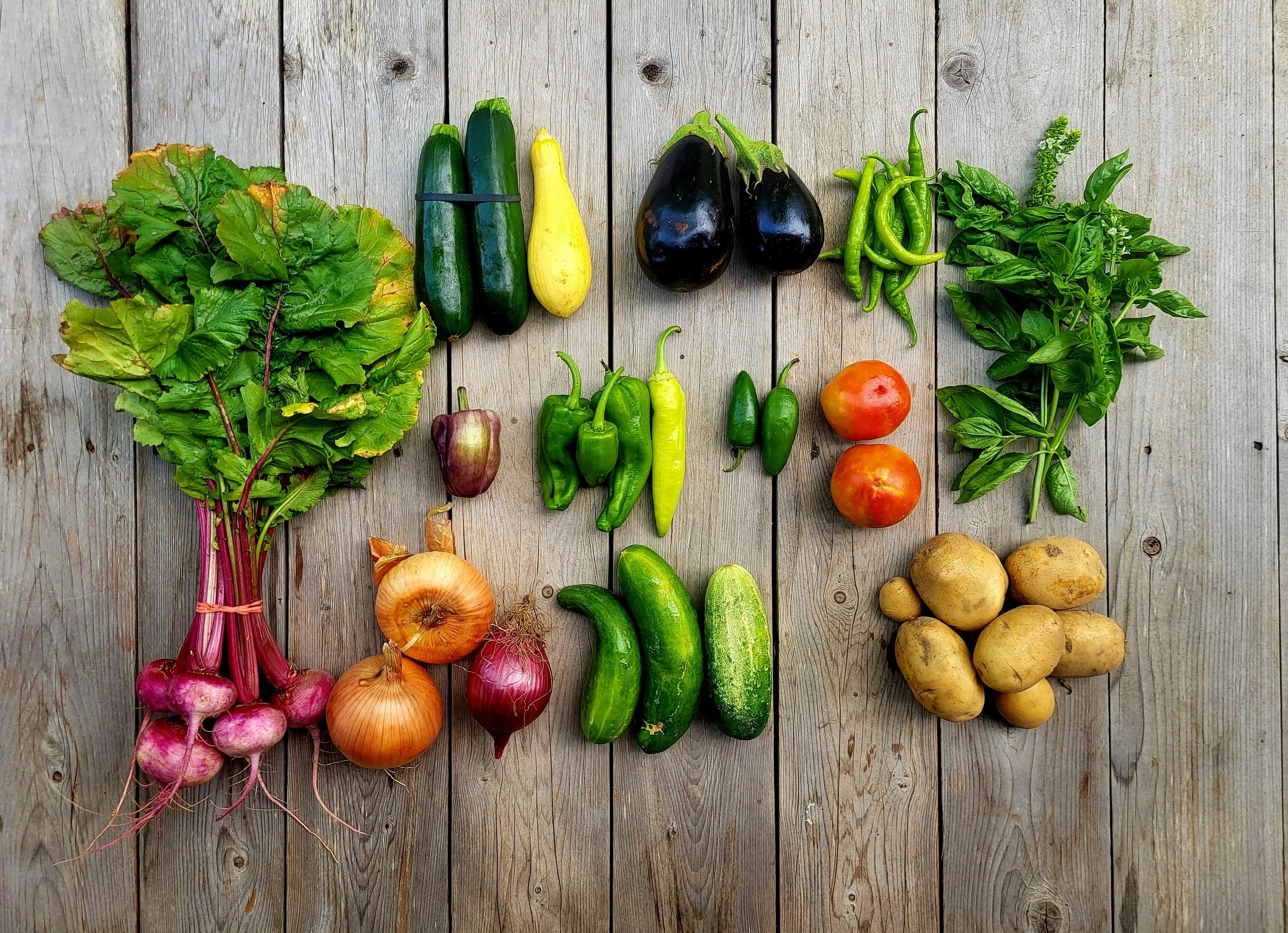 CSA Share Notes June 25, 2026 