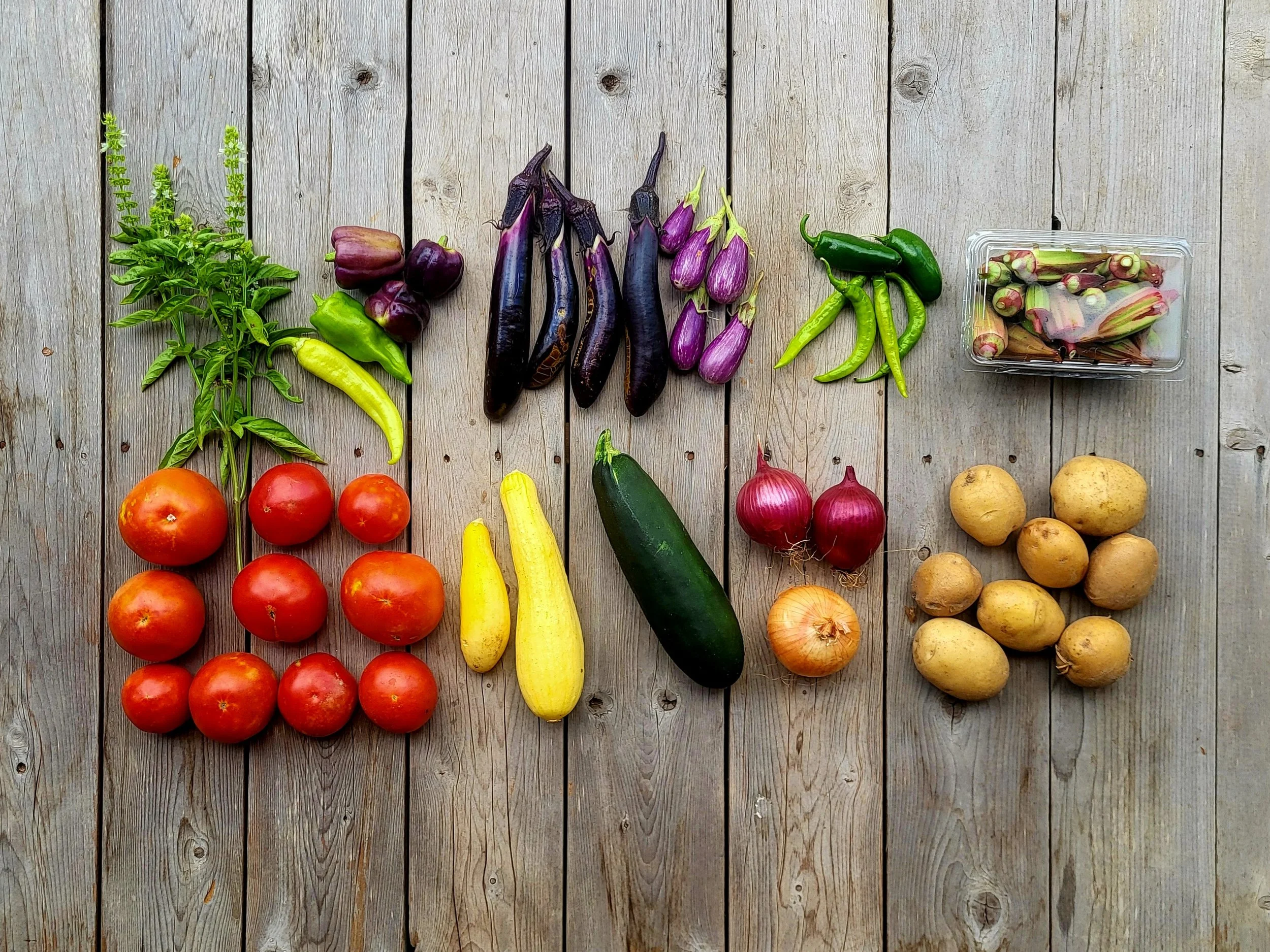 CSA Share Notes July 2, 2026