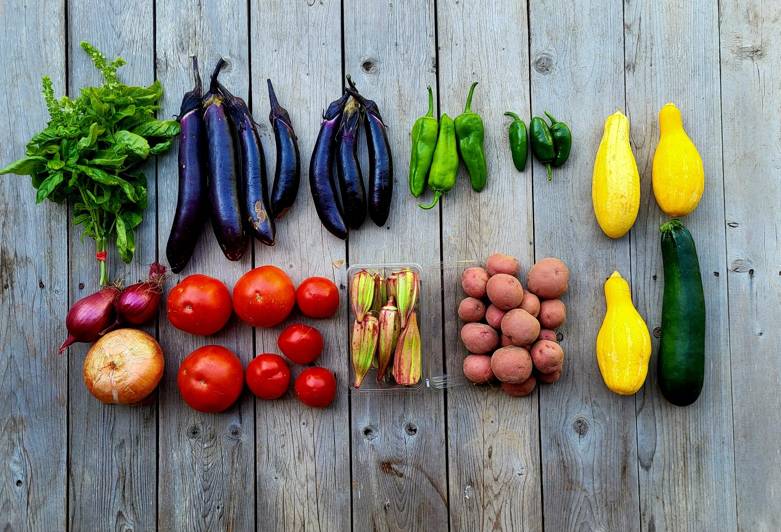 CSA Share Notes July 9, 2026