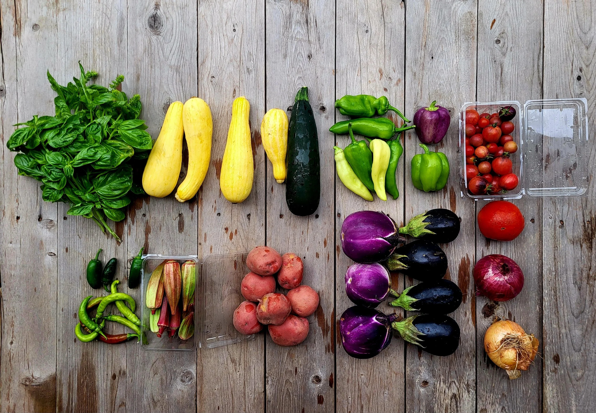 CSA Share Notes July 16, 2026