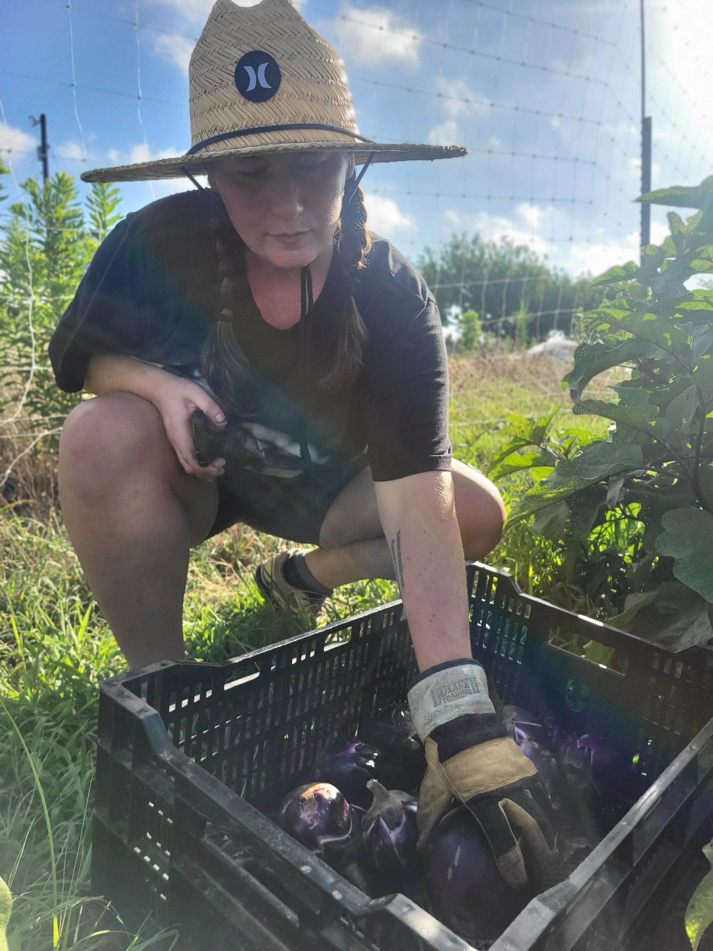 Jordyn: The Joyful Harvestyr