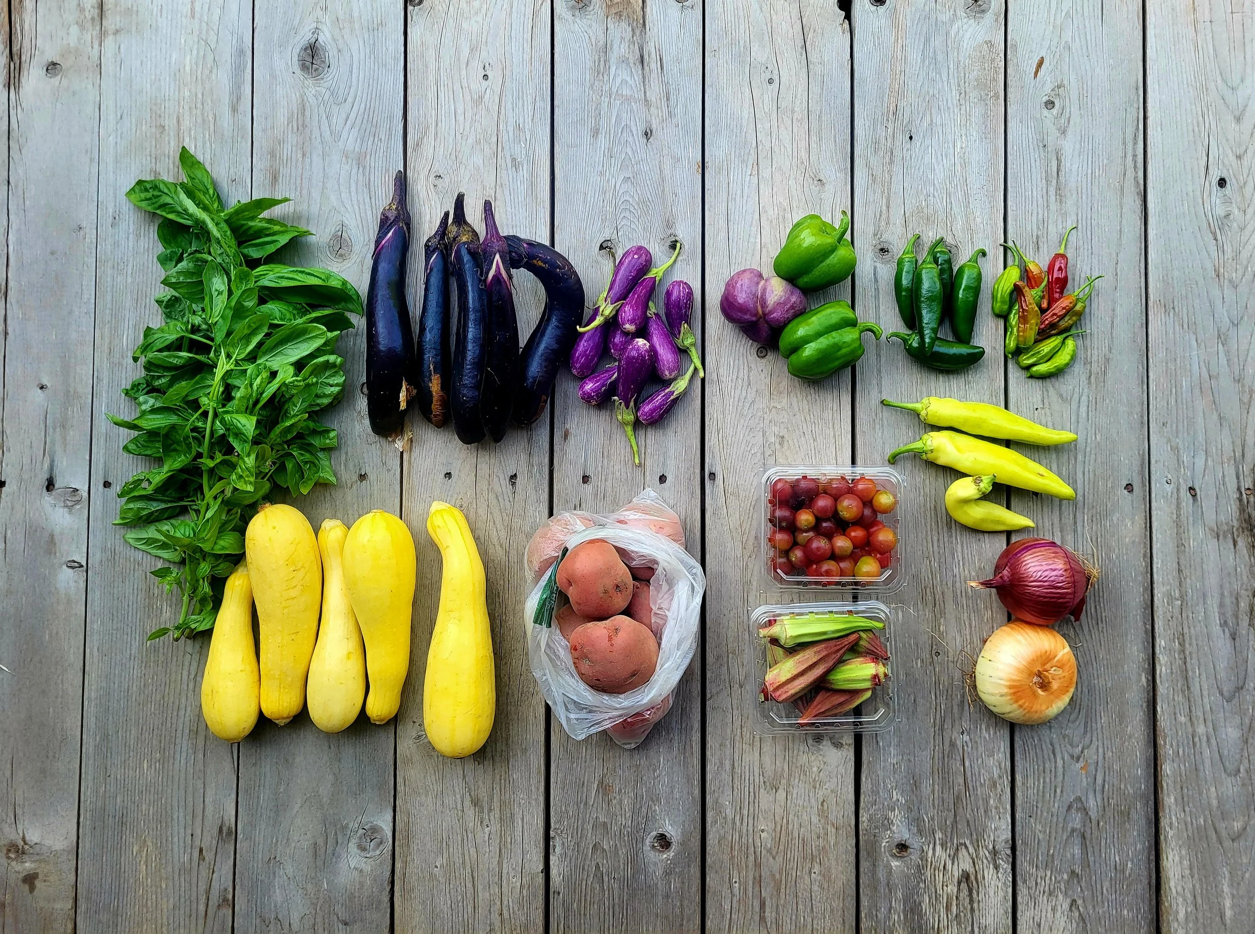 CSA Share Notes July 23, 2026