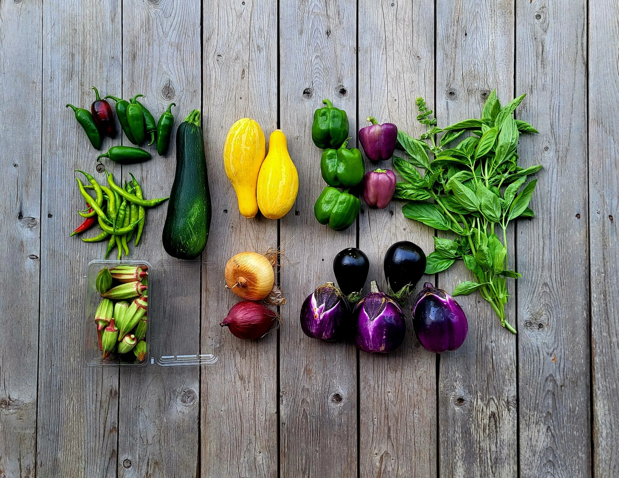 CSA Share Notes July 30, 2026
