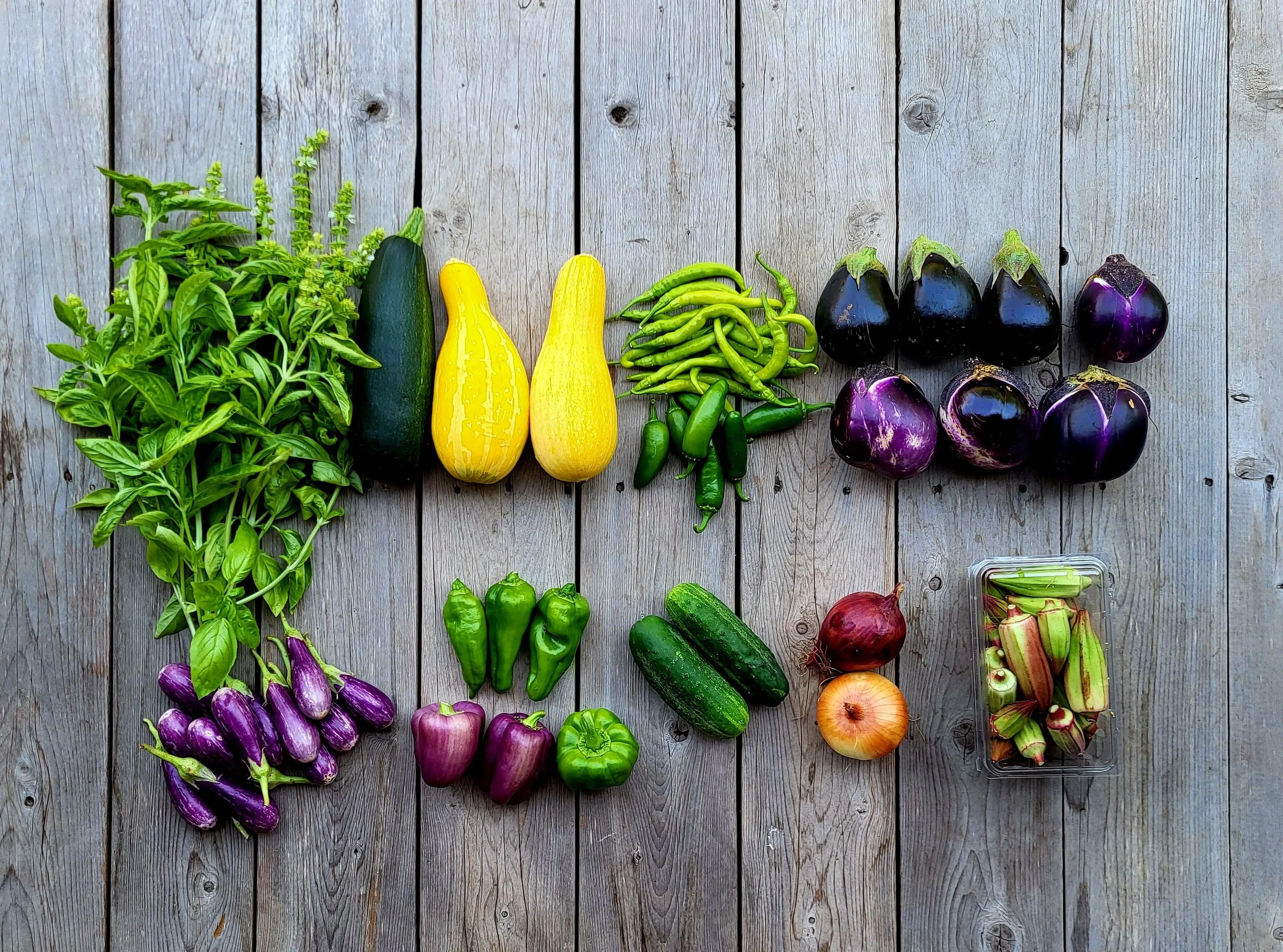 CSA Share Notes Aug 6, 2026