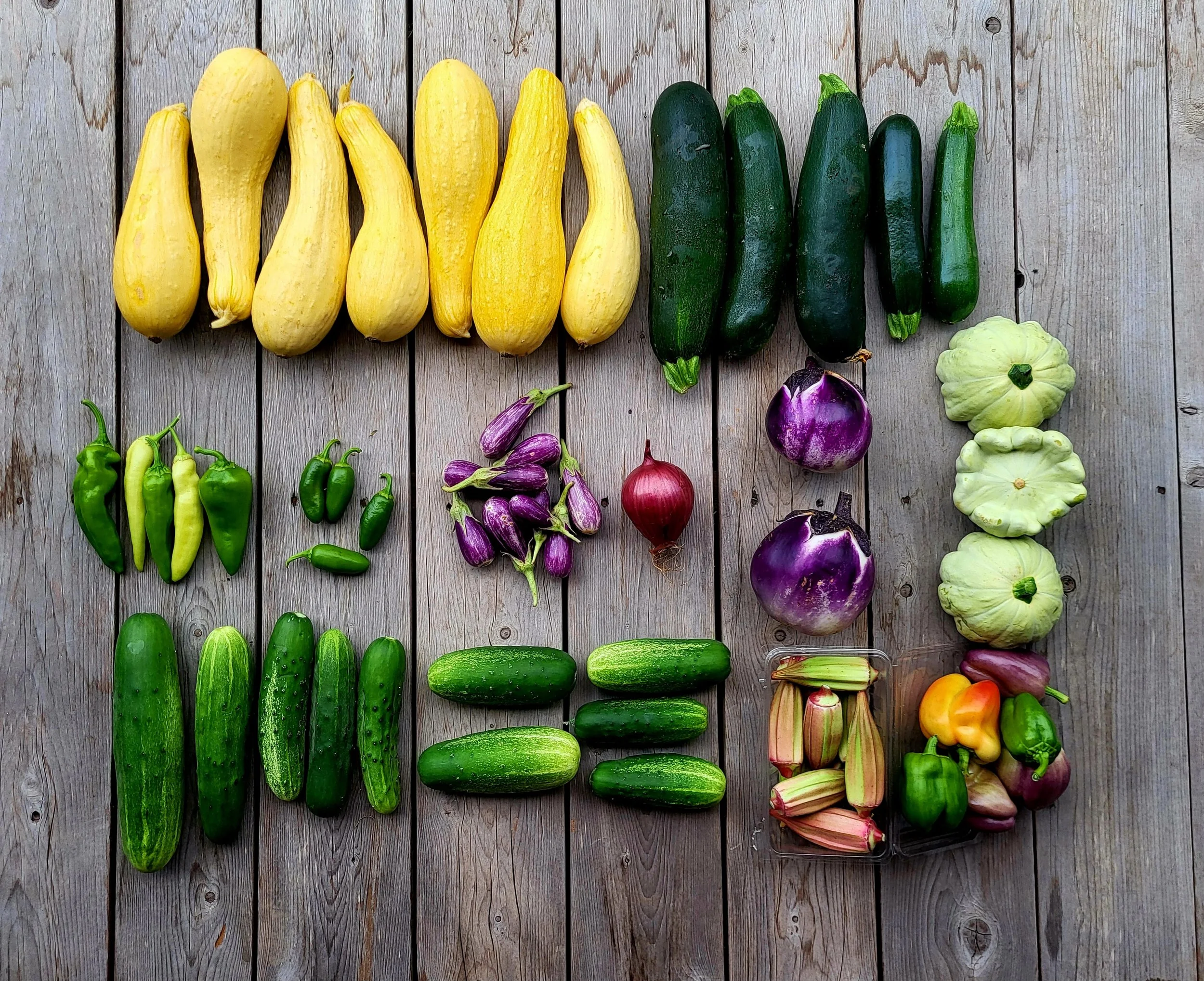 CSA Share Notes Aug 27, 2026