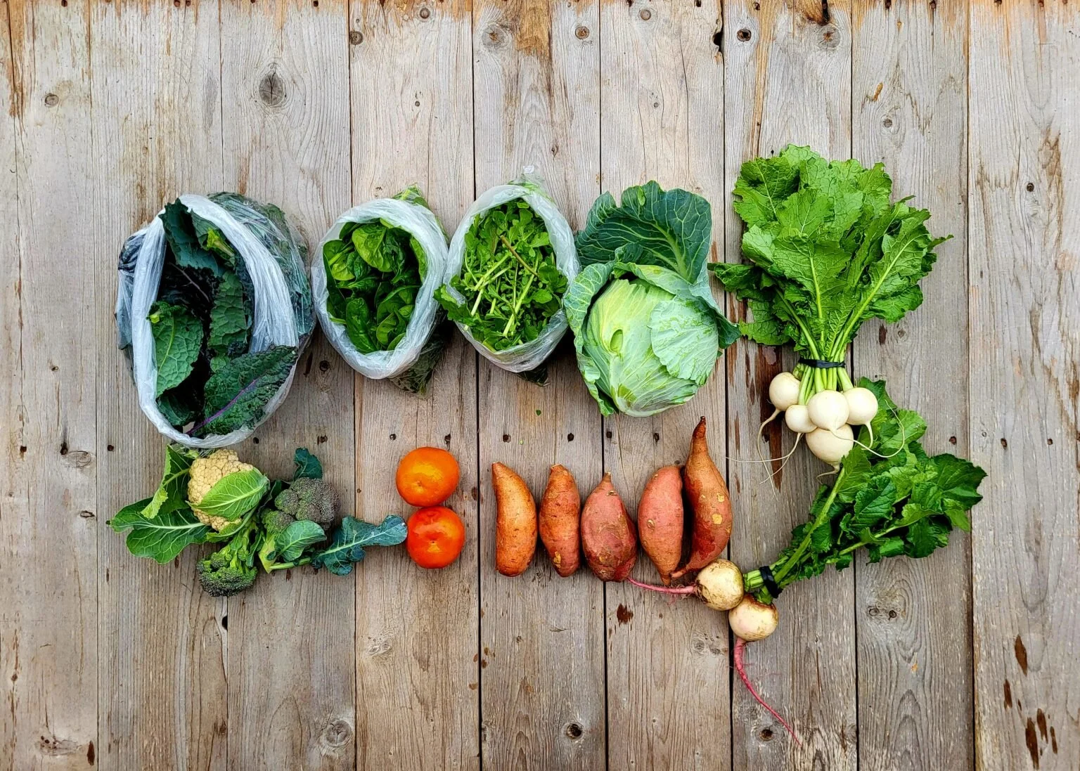 CSA Share Notes – Dec 4, 2025