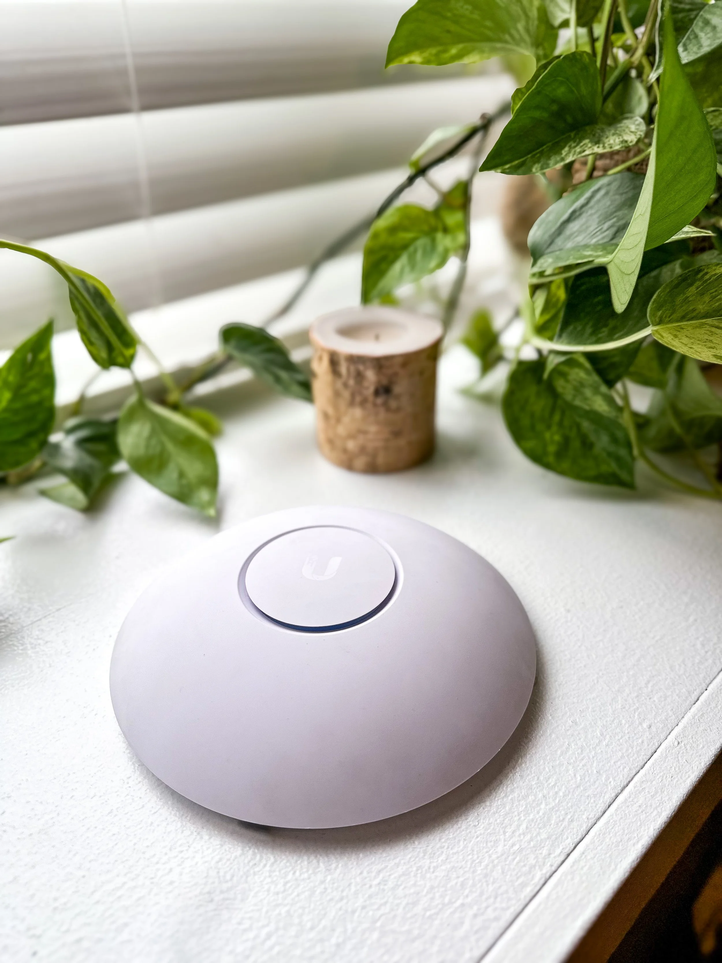 White Ubiquiti Long range Wifi AP on a white surface with green plants and a small wooden candle holder in the background.