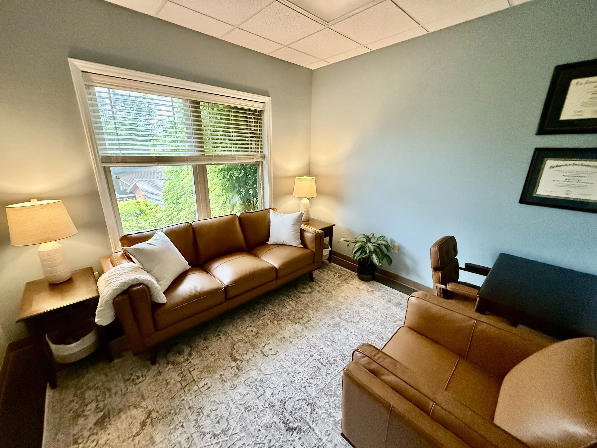 Cozy therapy office of Wilmington Couples Counseling, with large window showing green trees. The room has two brown leather sofas, wooden side tables with lamps, framed certificates and degrees on the wall, and an inviting yet professional feel.