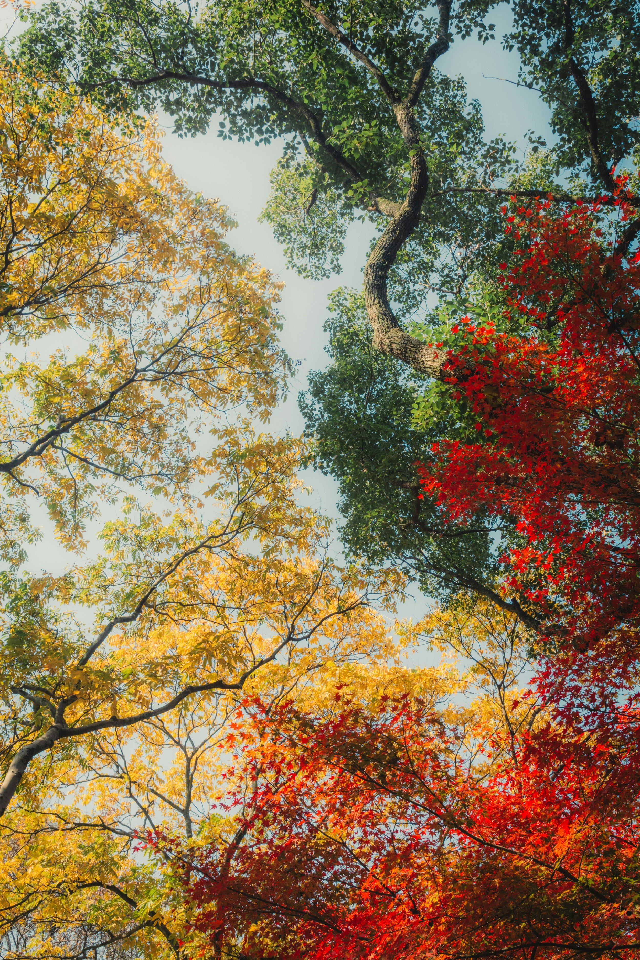 Why We Gather Seasonally: Honoring Women’s Cycles