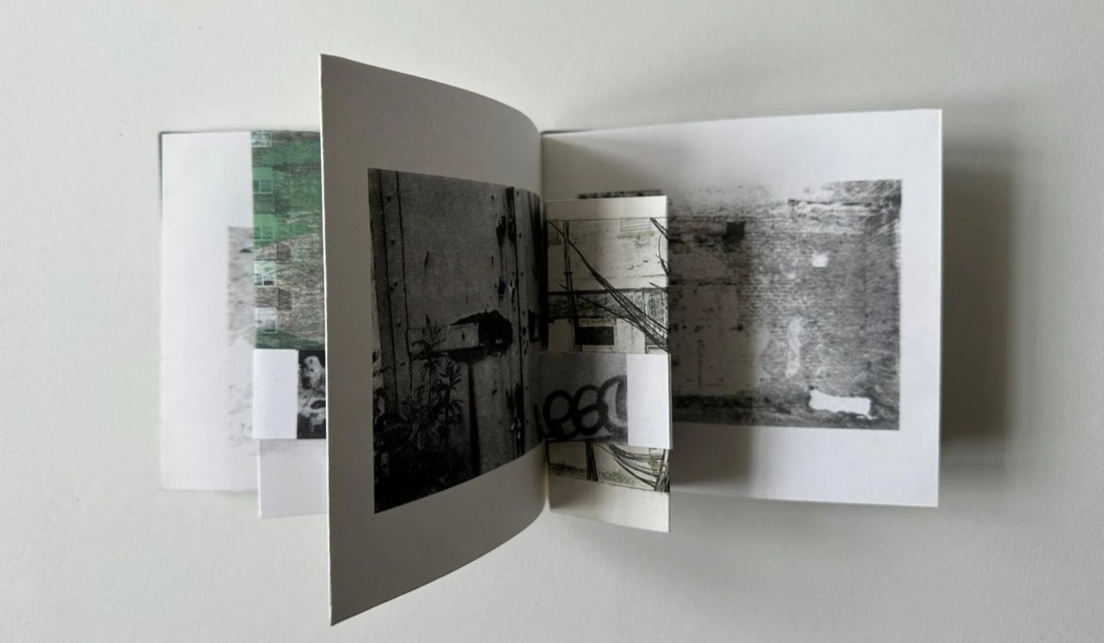 Untitled:
Screenprinted concertina book with printed bookcloth cover.
1/10 Edition variable
Cover dimensions: 17cm x 16cm
Book dimensions when opened fully: 16 cm x 200cm.