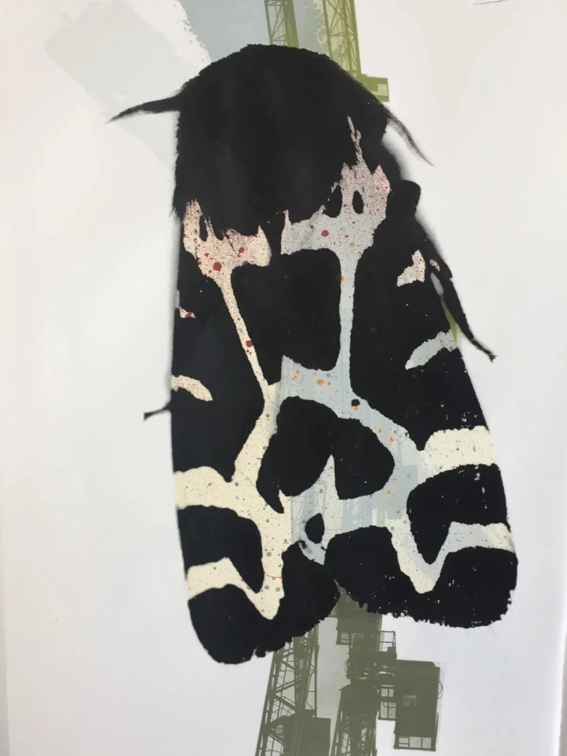 Tiger Moth and crane:
1/1
A1