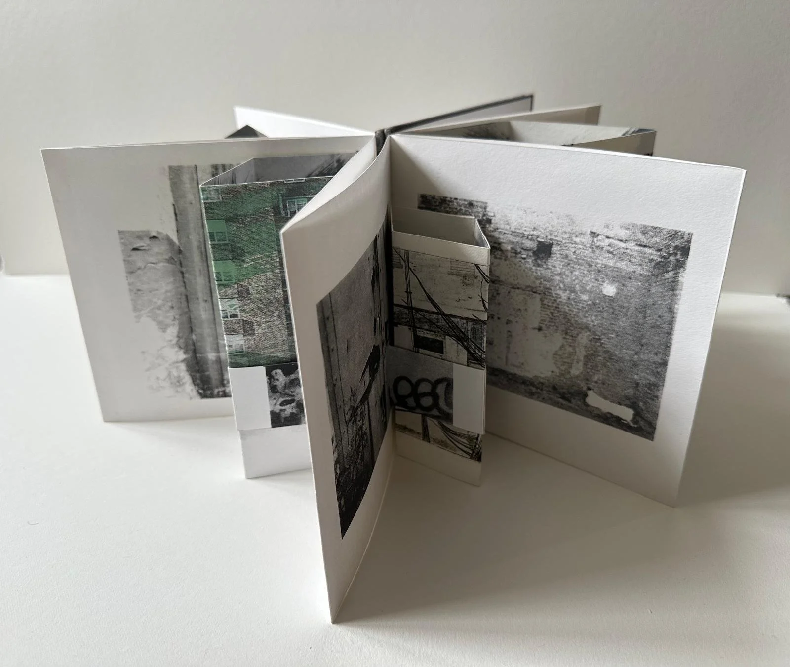 Untitled:
Screenprinted concertina book with printed bookcloth cover.
1/10 Edition variable
Cover dimensions: 17cm x 16cm.
Book dimensions when opened fully: 16 cm x 200cm.