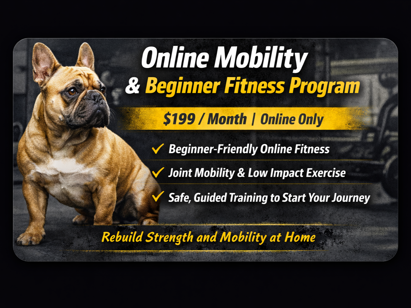 Online Mobility & Beginner Fitness Program