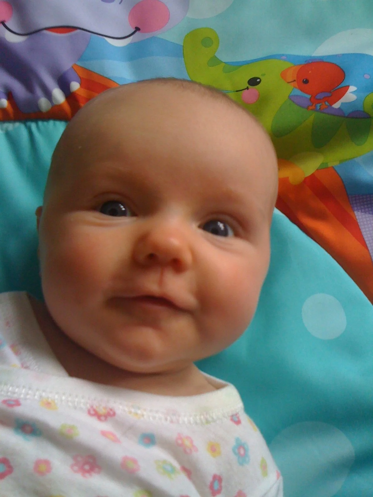 Inflatable Christmas Tree Vol. 5 - 2010