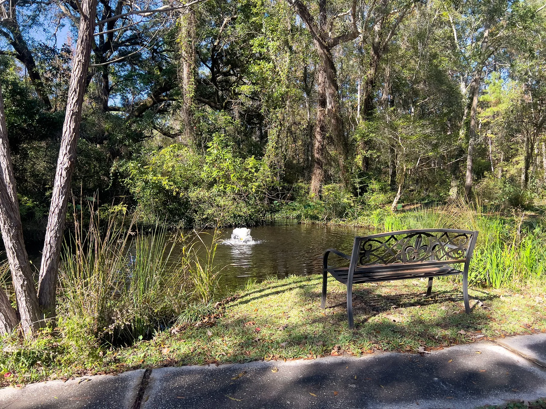 Living Well Pond and Bench