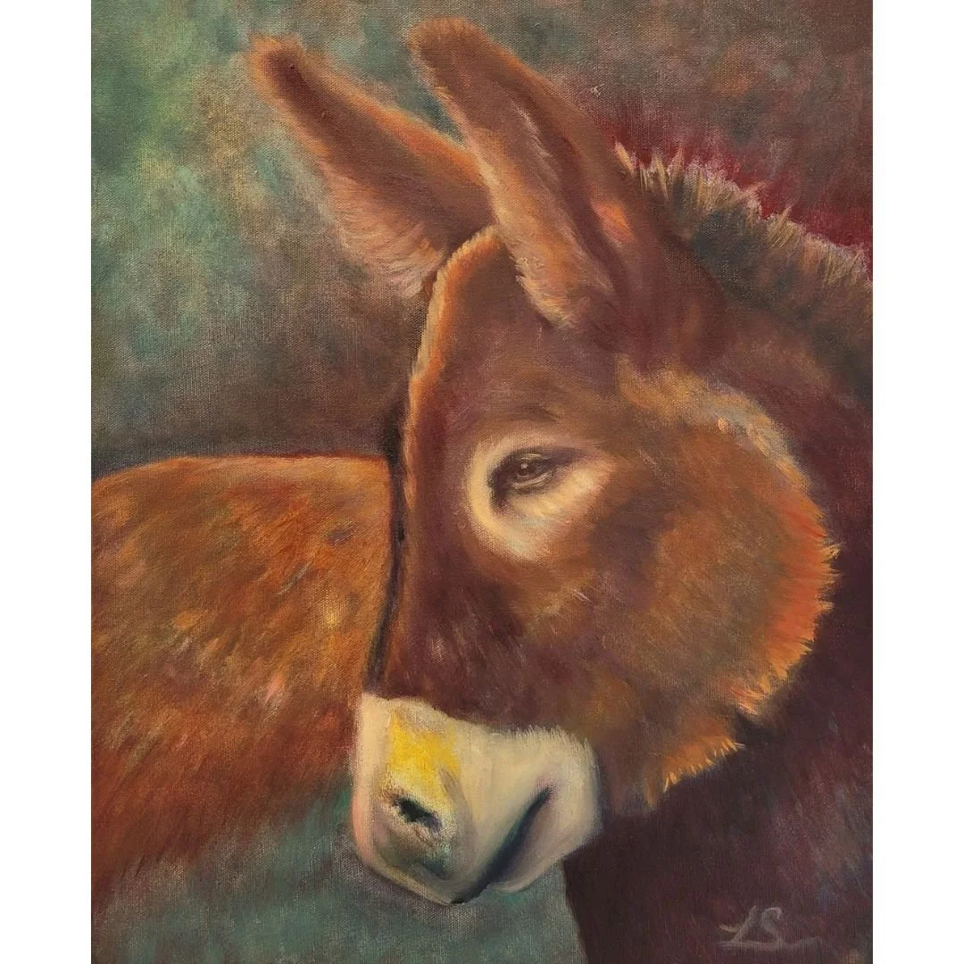 El Burro del Barrio