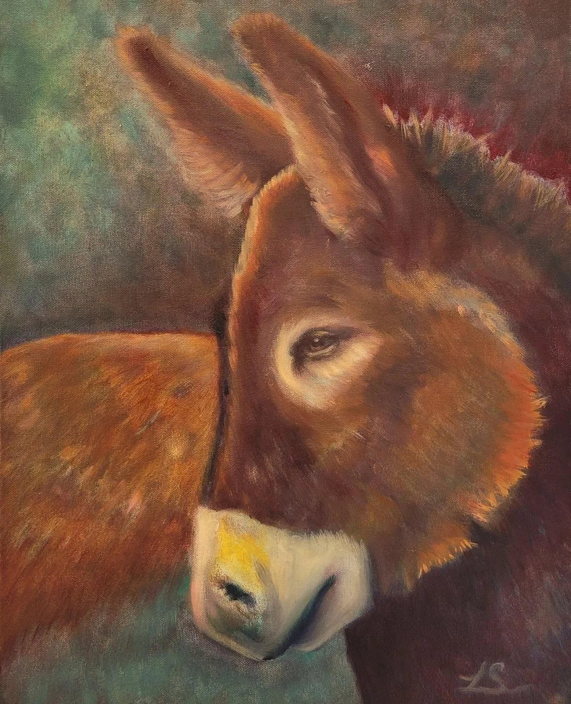 web, El Burro .jpg