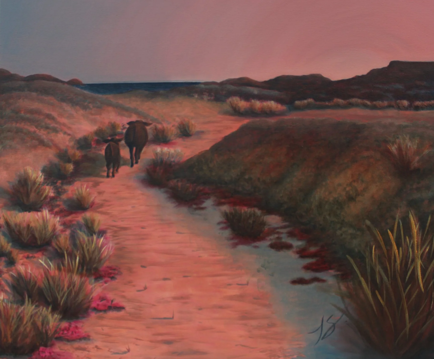 The Long Way Home
