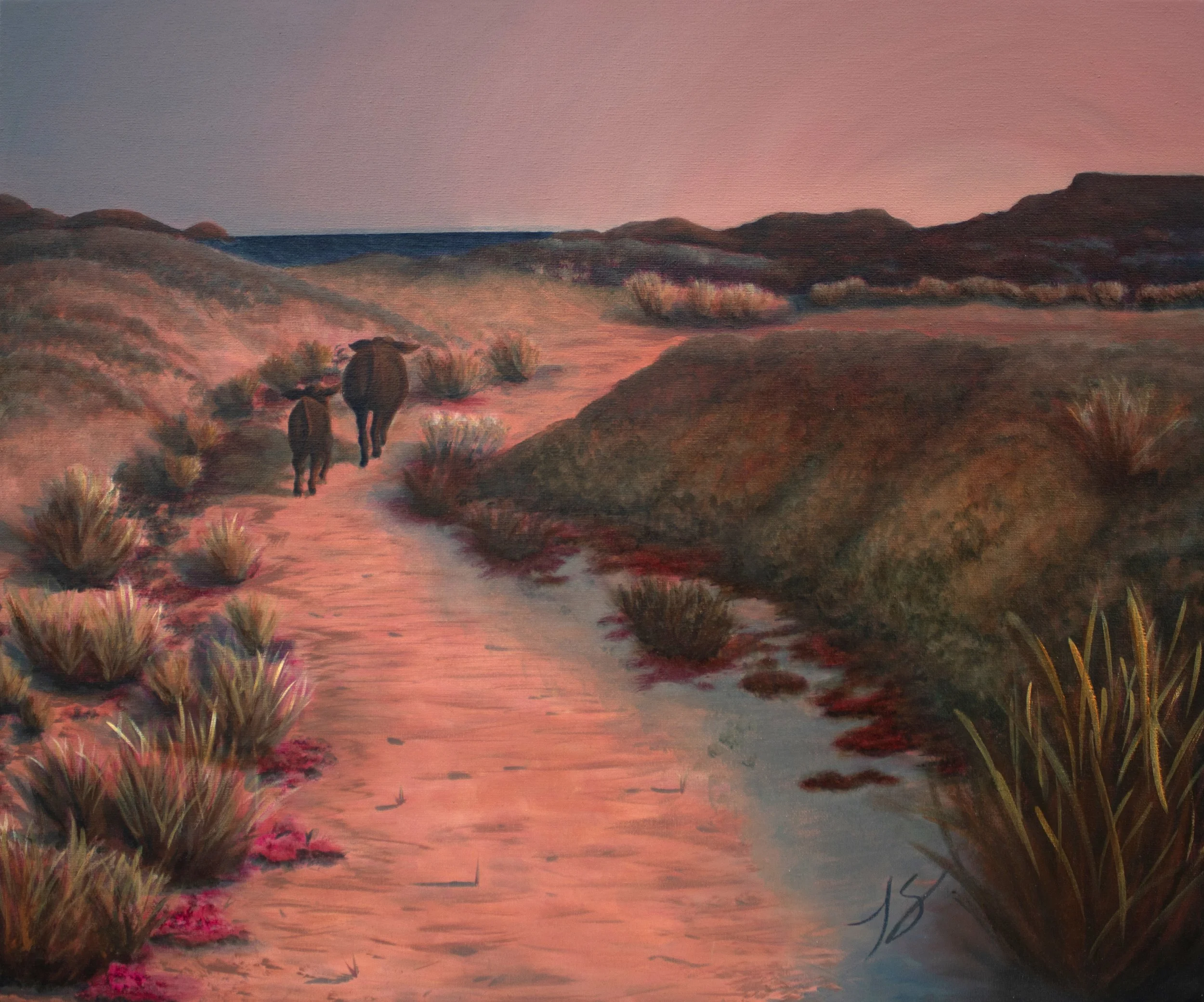 A painting of a desert landscape at sunset with a dirt path through the dunes and two cows walking away in the distance, the ocean,  pink and purple sky, and rocky hills.