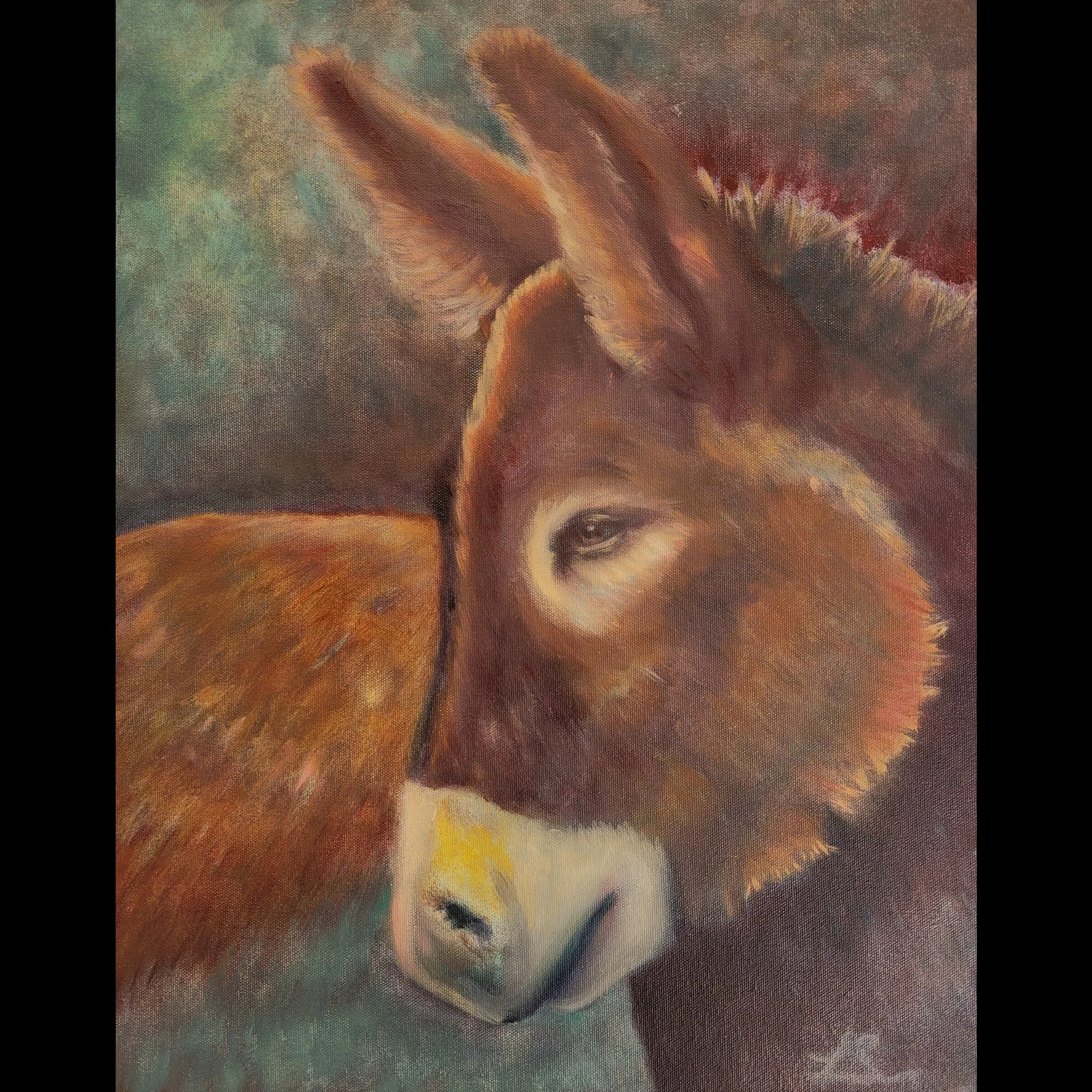 El Burro del Barrio