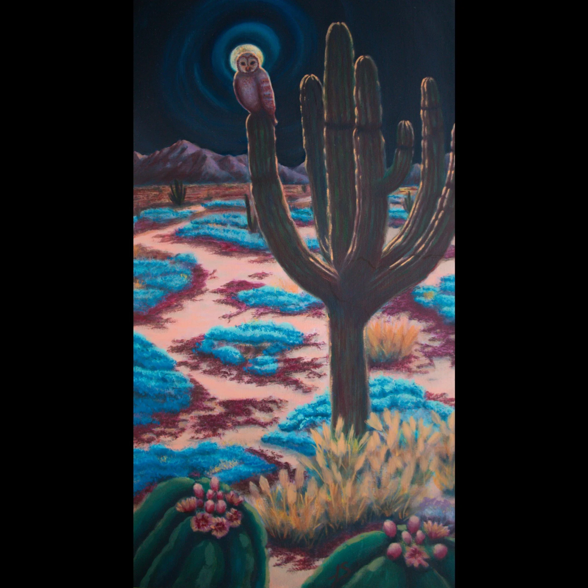 Guided by the Moonlight