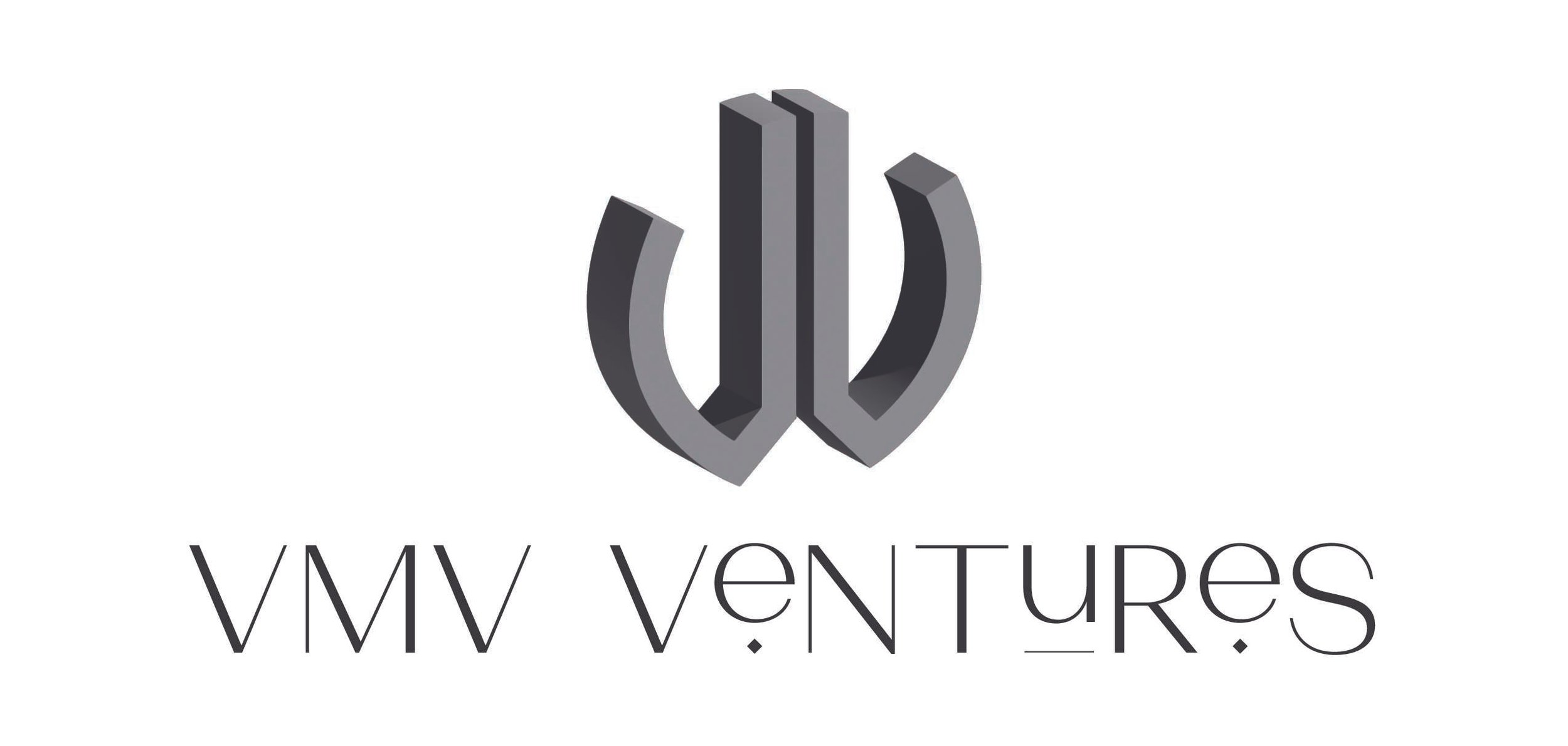 VMV Ventures Logo.jpg