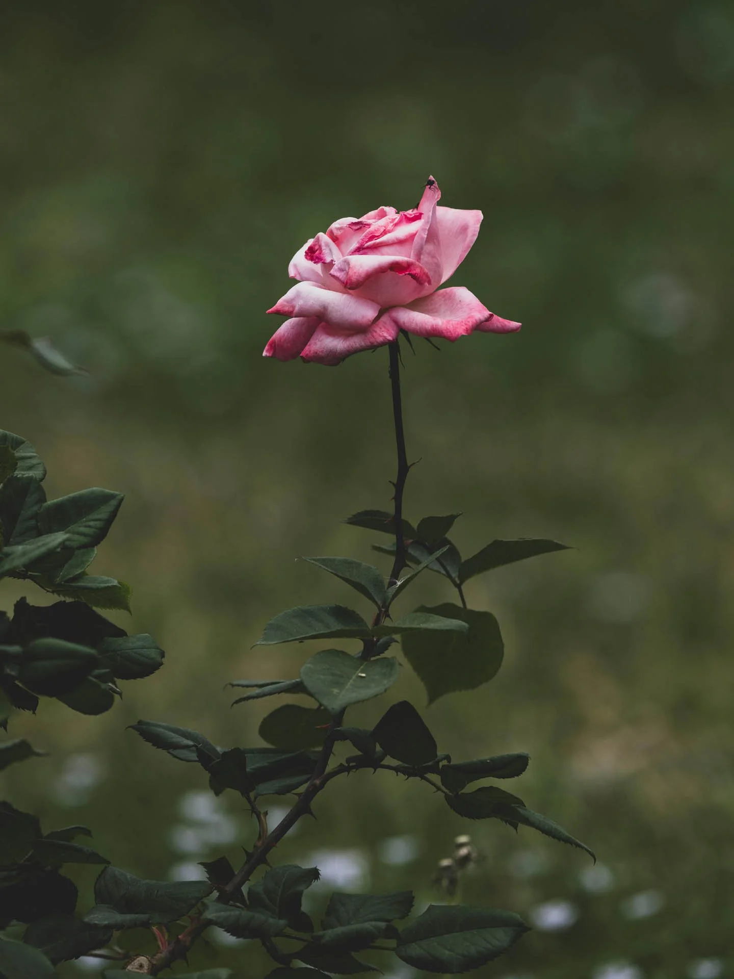 What is EFT Tapping? A Beginner’s Guide to Emotional Freedom Technique&nbsp;