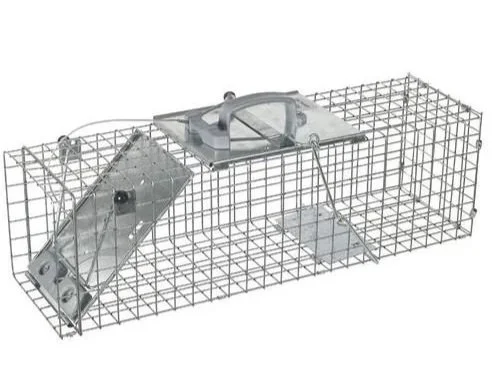 Metal live animal trap cage with a spring-loaded door and handle on top, available for rent at McKinleyville Ace Home & Garden Center