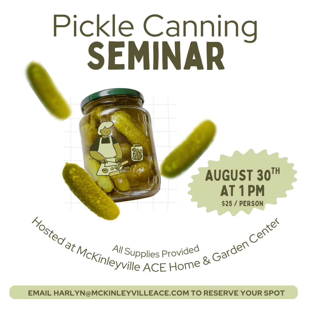 Pickle Canning (Facebook Post (Square)).png