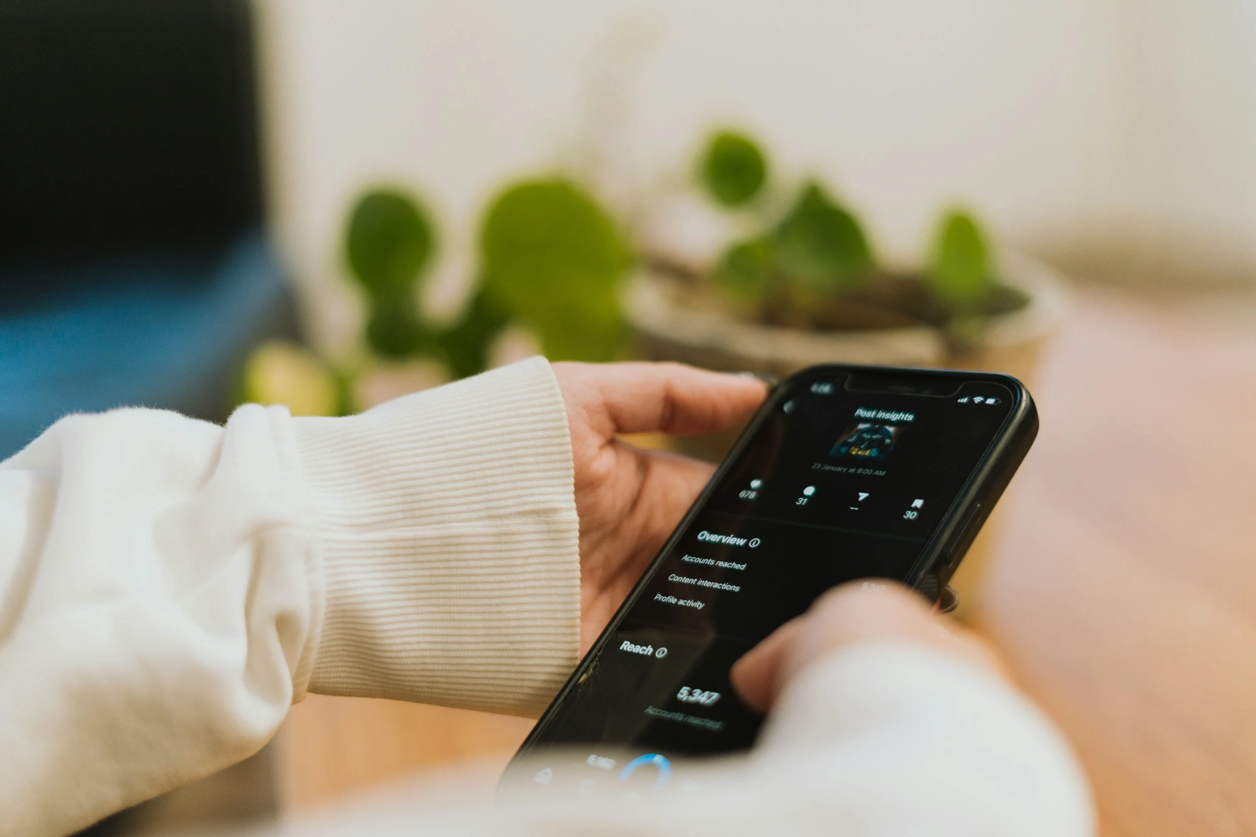 Person using a smartphone with social media analytics on the screen, indoor setting with a plant in the background.