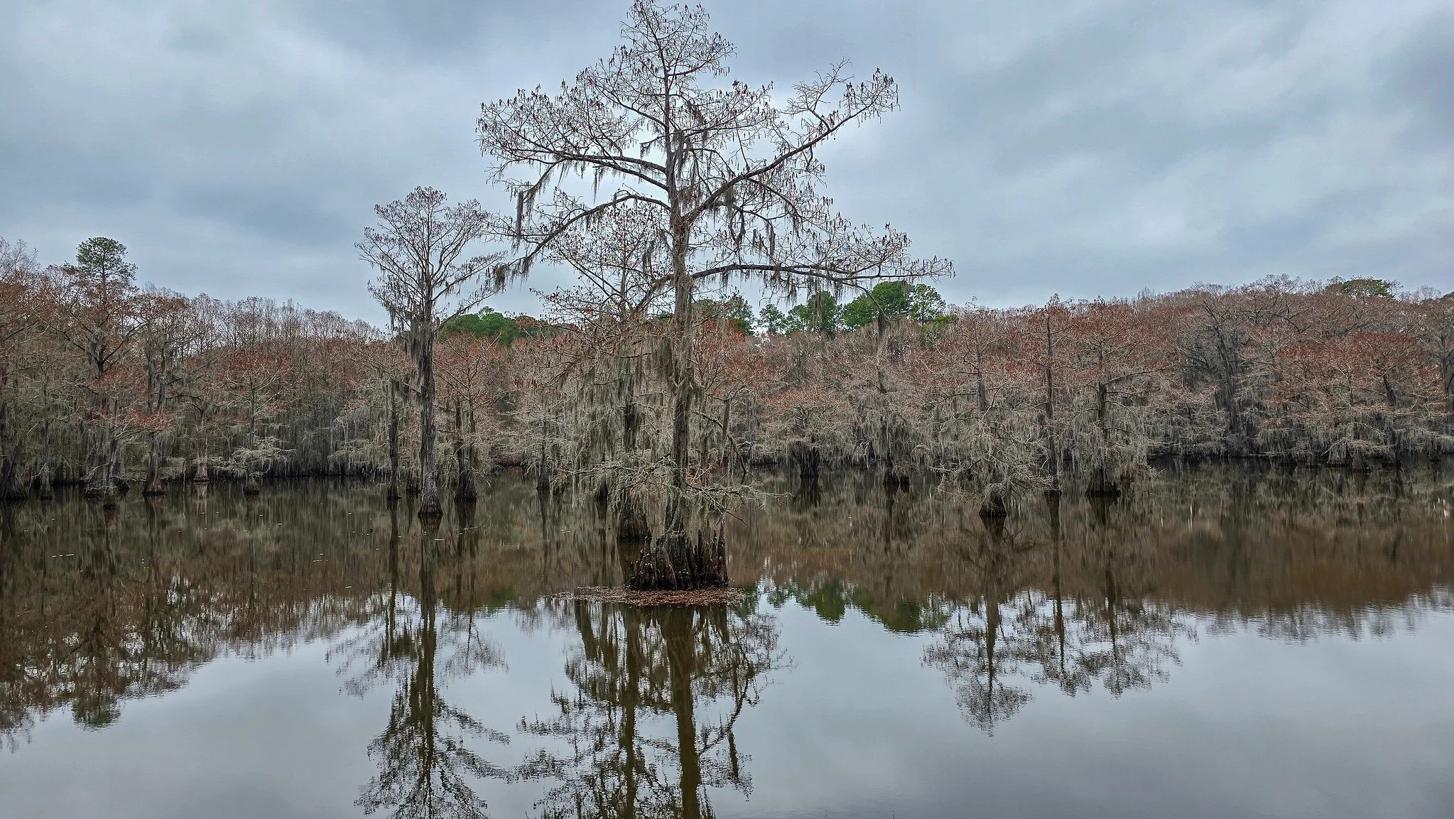Caddo Lake State Park