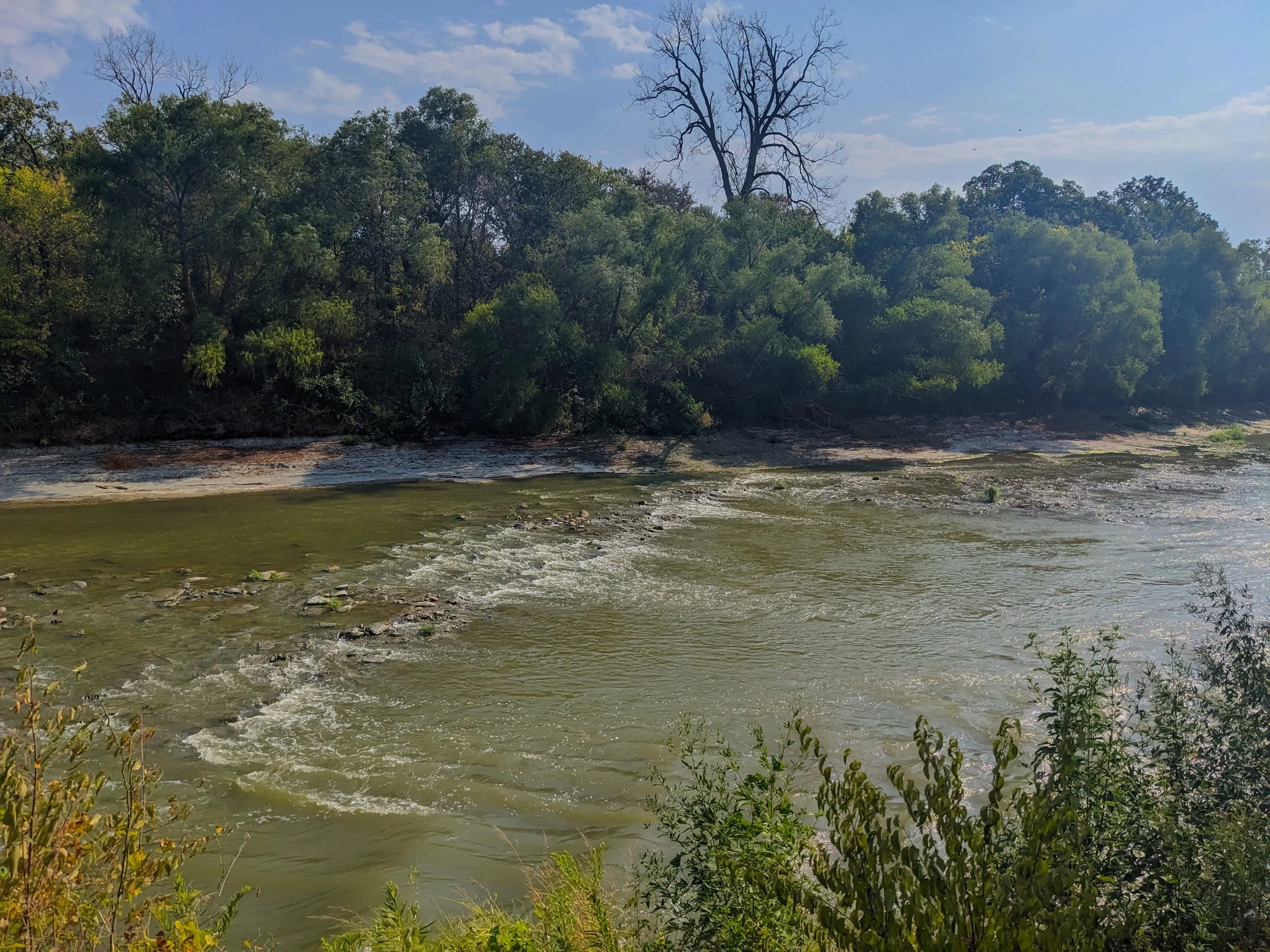 Goat Island Preserve