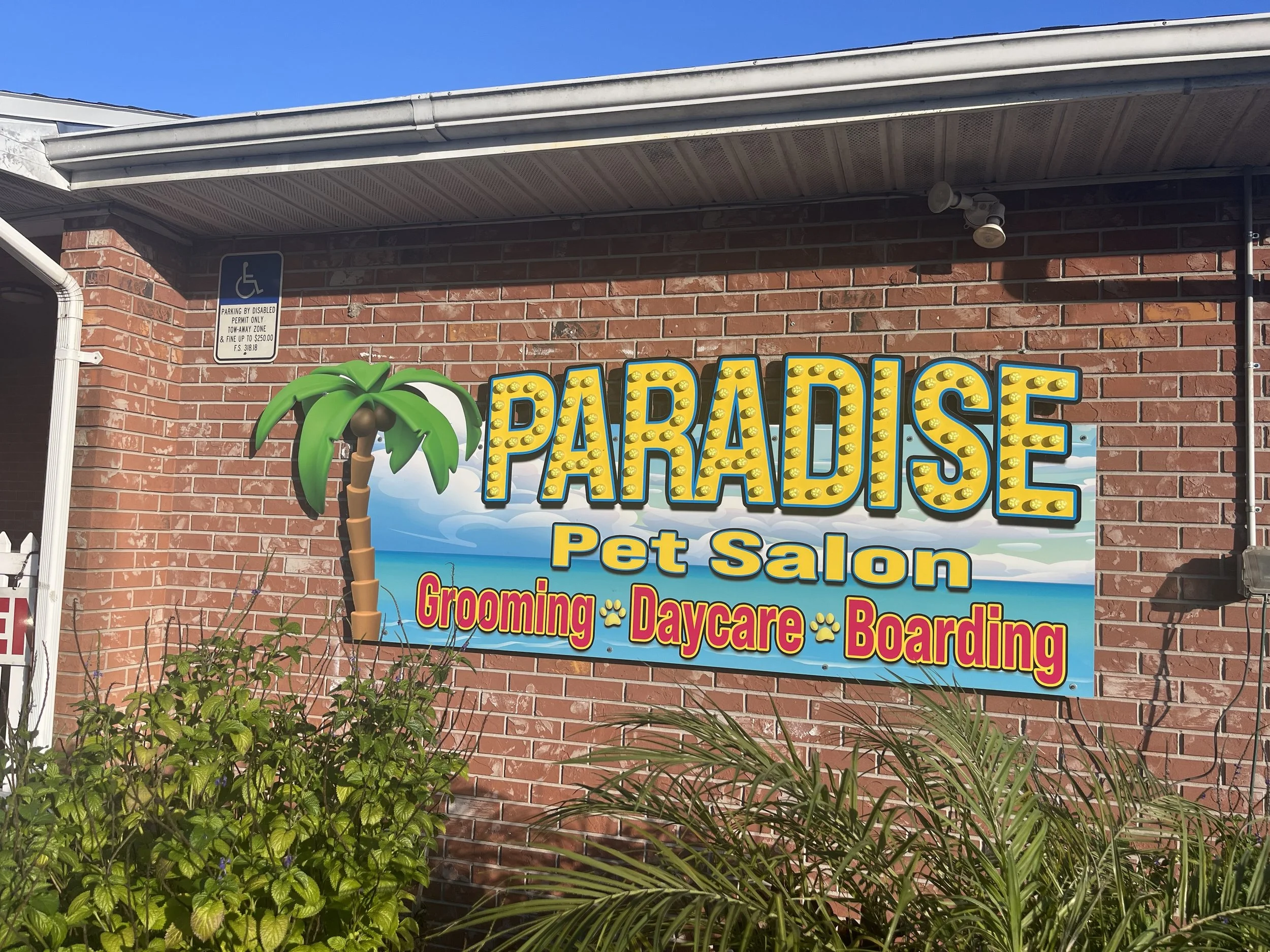 Sign for Paradise Pet Salon with a palm tree graphic, advertising grooming, daycare, and boarding services.