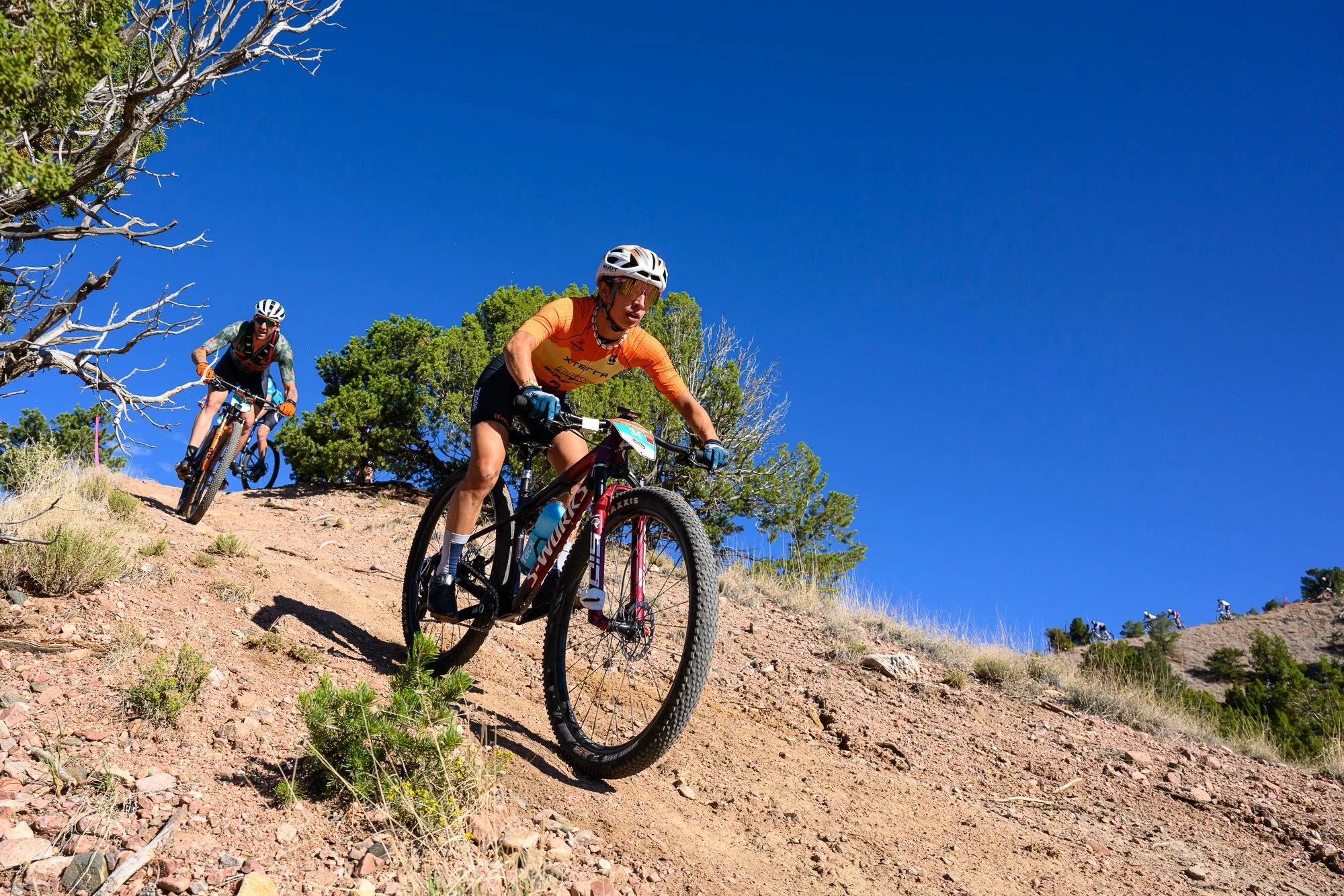 EClark_260920_DSC_3599.jpg
