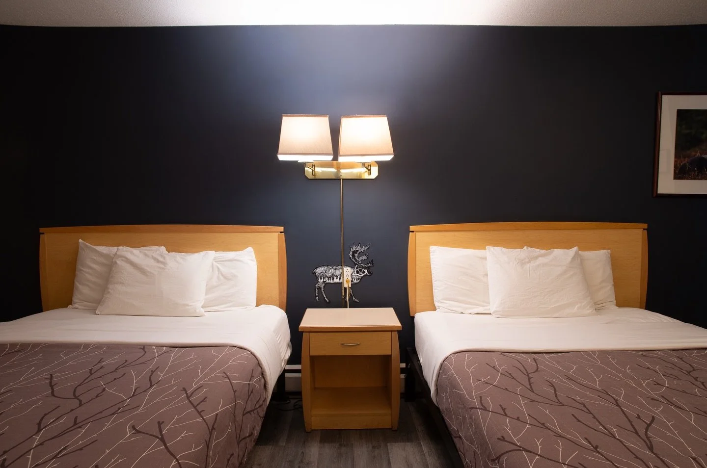 Our Standard Two Queen Room &mdash; a spacious option for you, your family, or your friends.

Everything you need for a good night&rsquo;s rest. And don&rsquo;t forget to grab a quick bite in the morning at our breakfast bar!

#easystayfernie #stayin
