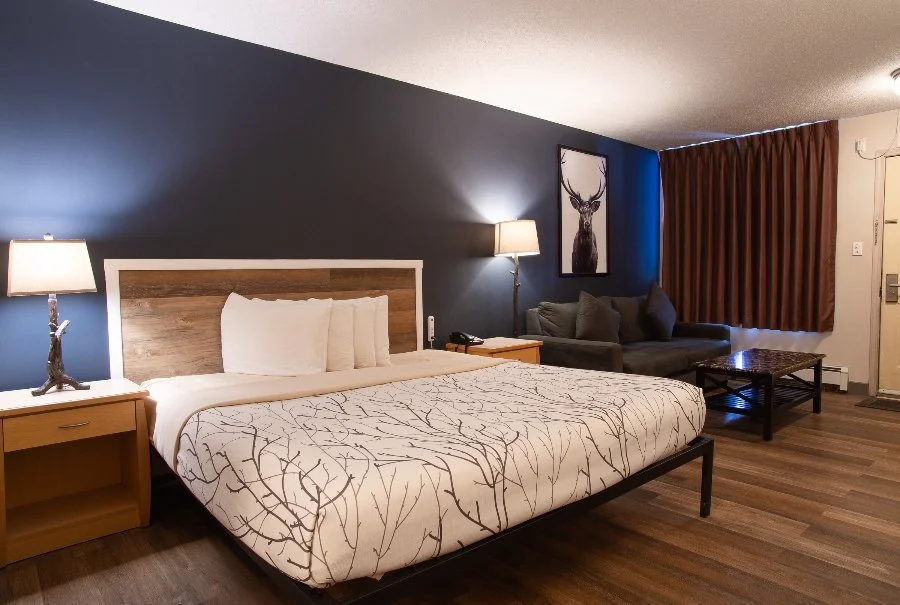 Single-King-Room-spacious