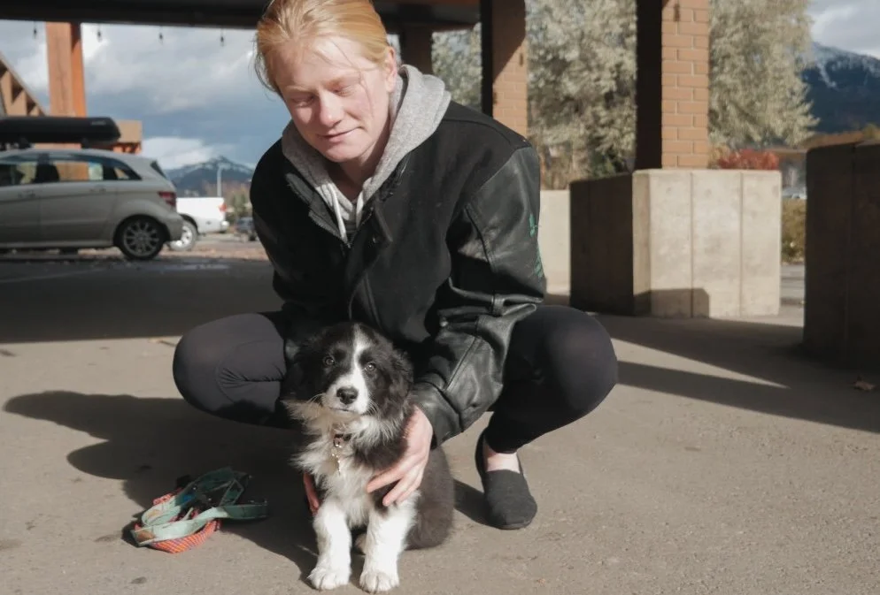 Pet-Friendly-hotel-in-fernie