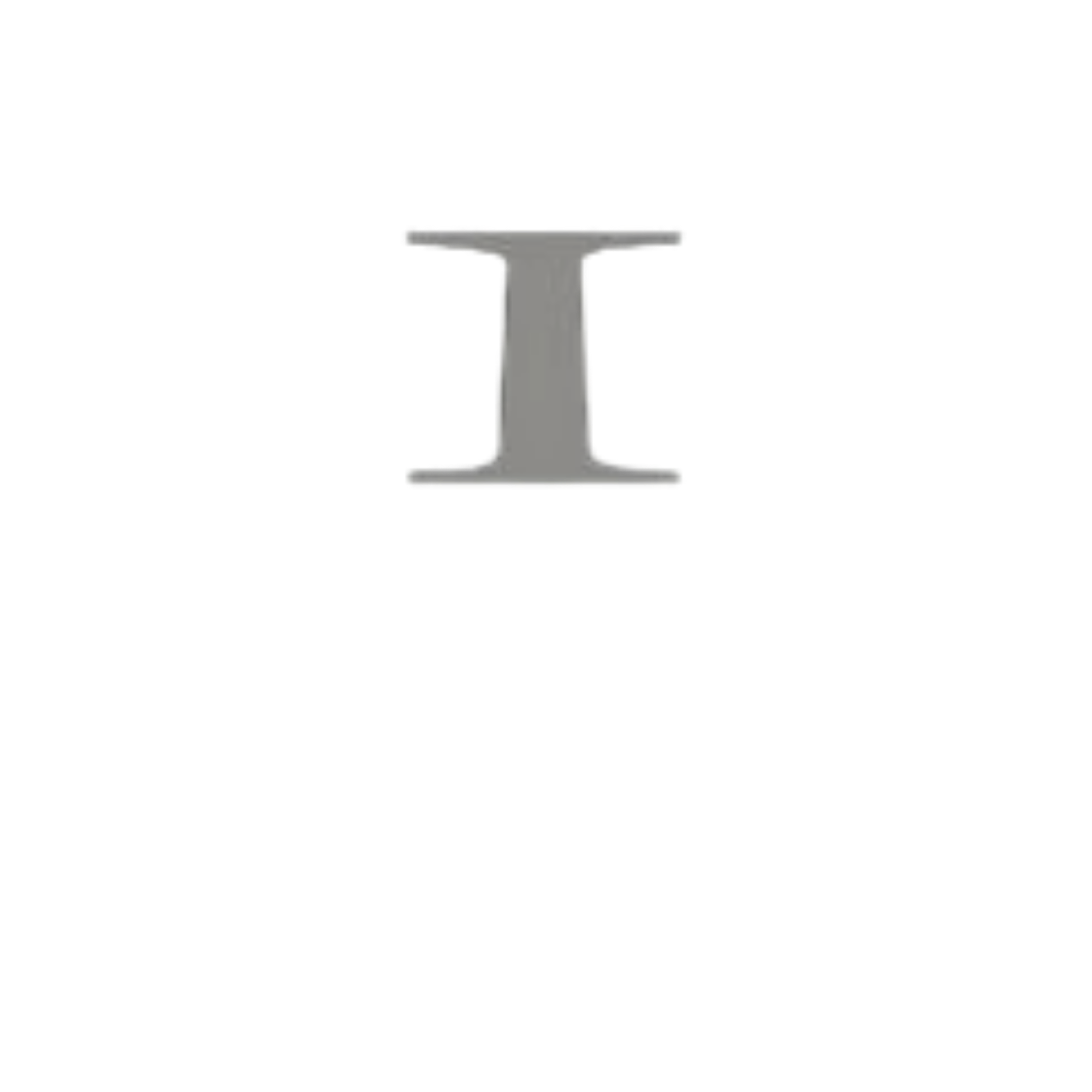 The Image Skincare Logo in white lettering with a grey capital i