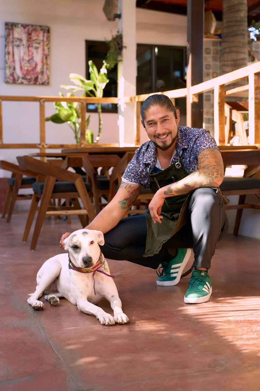 a pet friendly restaurant in todos santos