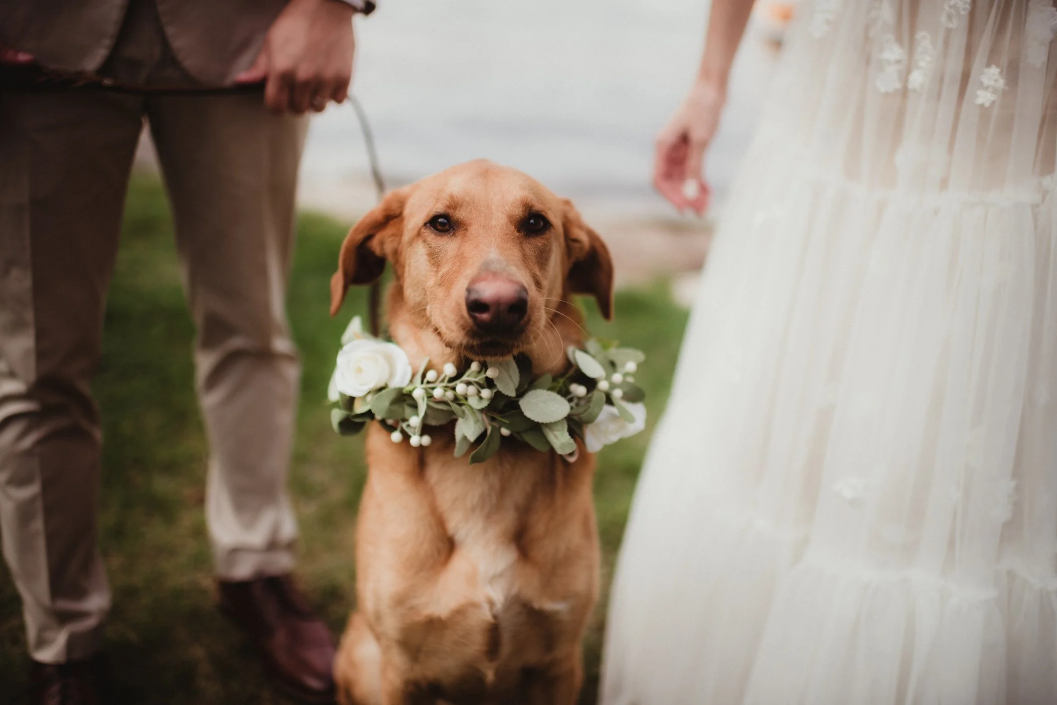 Wedding Ceremony Photo & Video Collection