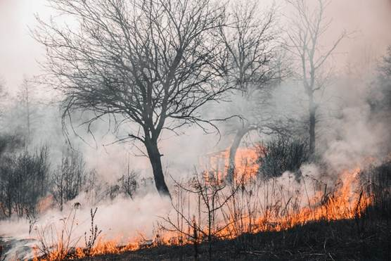 We can't keep fighting wildfires one fire at a time