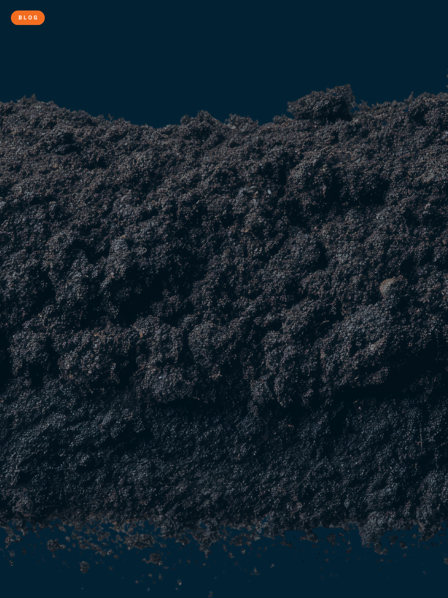 Biocarbon and the Fertilizer Crisis
