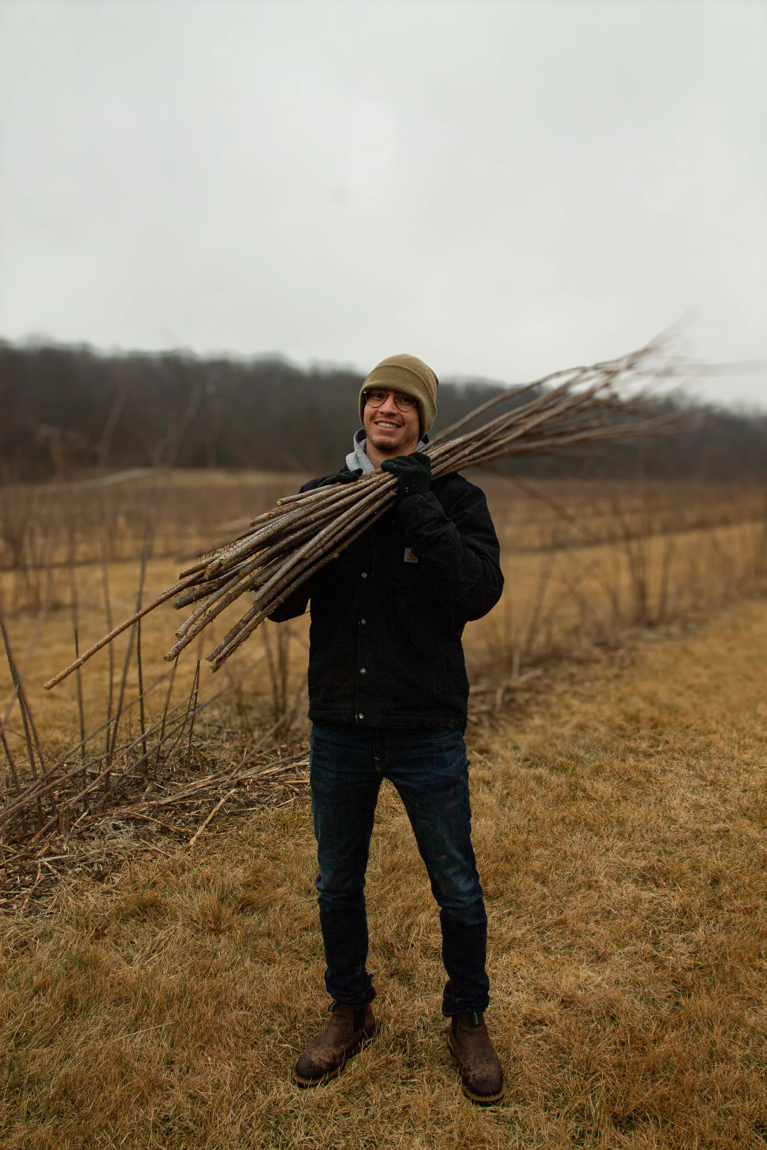 Gathering canes to make hardwood elderberry cuttings