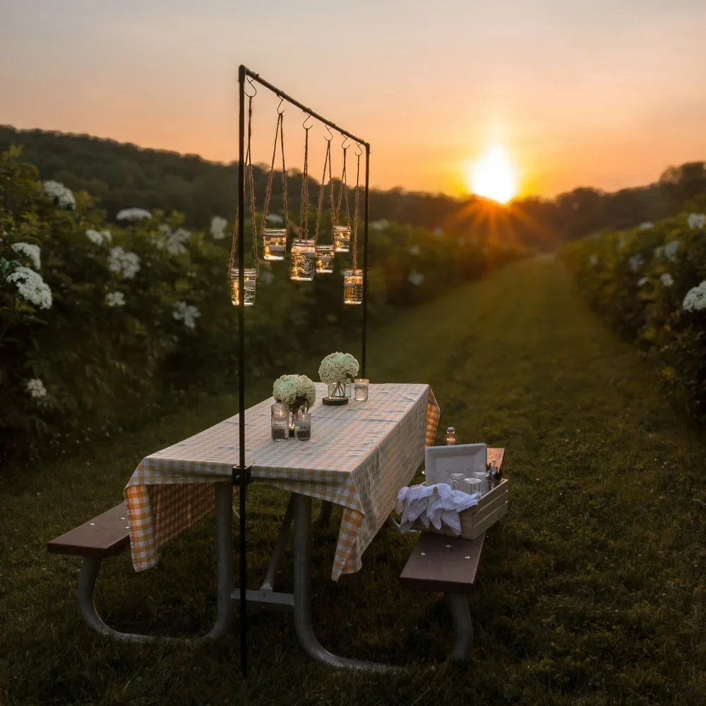 Charming picnic table setting in elderflower field