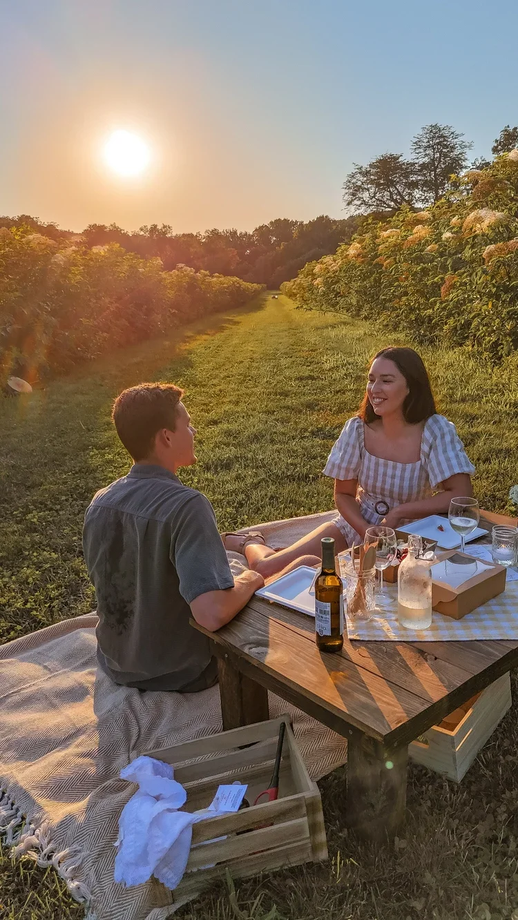 A couple enjoying a picnic in a lush field during sunset, sitting at a wooden table with drinks and food, surrounded by elderflower bushes.